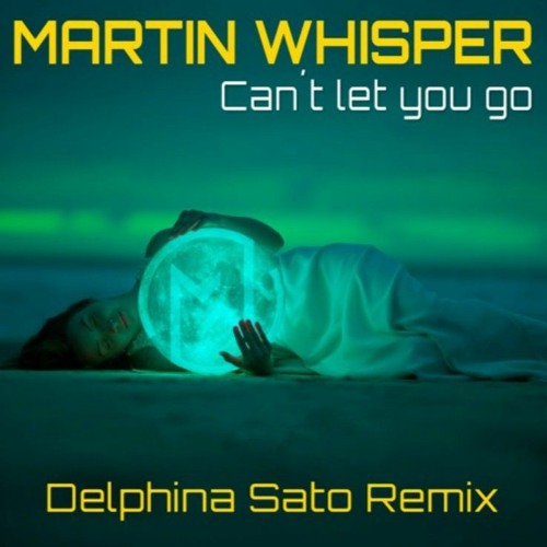 Can't Let You Go (Delphina Sato Remix)