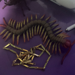 MadScientist (P.Yuye Forest)