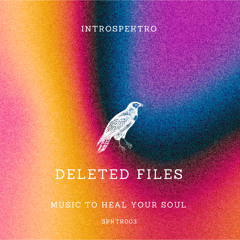 d e l e t e d  f i l e s