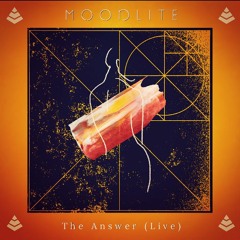The Answer (Live)