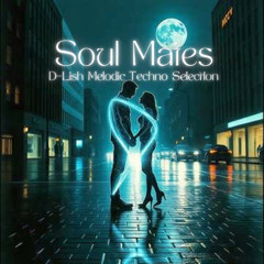 Soul Mates - Melodic Techno Selection