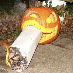 sunflower oil go kart