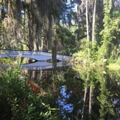 Best Magnolia Plantation Admission Tour With Transportation From Charleston Tours Review