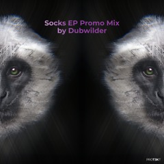 Socks EP Promo Mix by Dubwilder