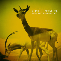 Catch (Adamon & Bella Kri Remix Long Edit)