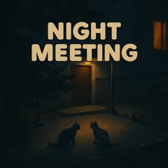 Night Meeting (feat. DJ Lev)