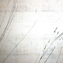First Variation