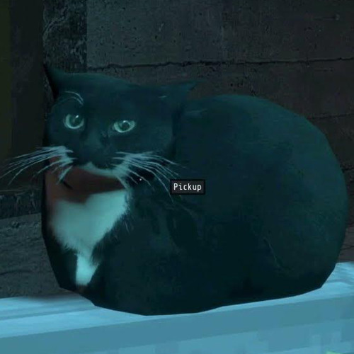 Maxwell Music - Voices of the Void