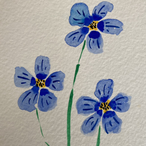 Joe & Ellen - Here We Go (PFHL) 💕💕