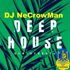 064 DJ NeCrowMan Deep House (Ruslan Yupyn, Ukraine)