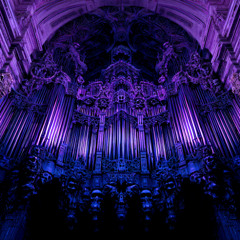 DJ FURAX - BIG ORGUS (jiniswicked remix)