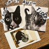 MIRA_45 Katzen Tanzen Auf'm Tisch_Kater Blau Berlin_Monday Nov 28 2022 DJ mix artwork - Electronic music tracklist cover image