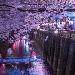 雨夜桜