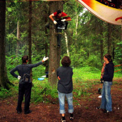 36Катал и Шадд - да да да