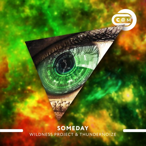 Wildness Project & Thundernoize - Someday (Radio Edit)