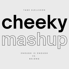 Enough Is Enough Vs. Belong - Avicii Vs. Axwell (Cheeky Mashup)