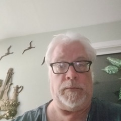 The Midnight Shark-by Gregg White Shark