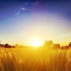 Summer Vibes [Calvin Harris HardTeKK Remix]