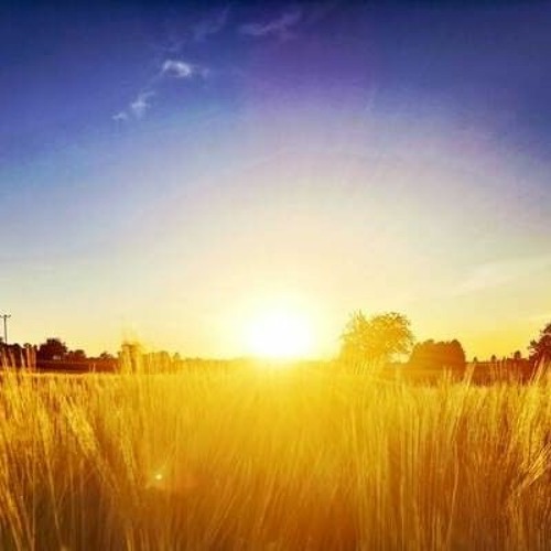 Summer Vibes [Calvin Harris HardTeKK Remix]