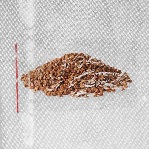 Low Pulse, Пøэтов Ц3Х - GRECHKA (ПАША ТЕХНИК)