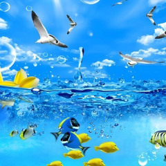 LcdDem OST - Aquarium