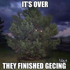 Memes of sorts