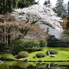 实修引导之二 : 认识本心与修行要点