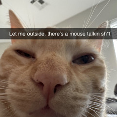 silly behaviour