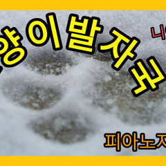 고양이 발자국(cat footprints)