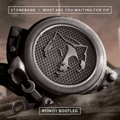 Stonebank - What Are You Waiting For - VIP (Rowdy Bootleg)