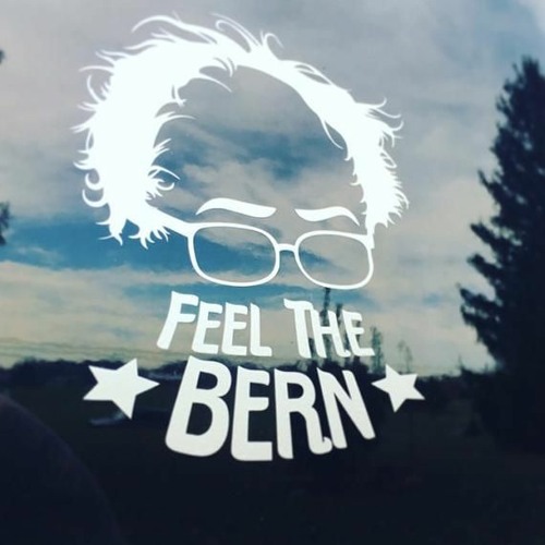 Bern it Down (A Democratic Primary Ballad)