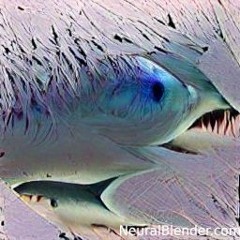 SHARKFISH'S FIREVIRUSSET