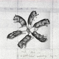 L'intérieur sauvage 25 - Elazer - 19/10/2023