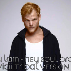Duncan Lam - HEY SOUL BROTHER (TRIBAL SOULS AVICII VERSION)