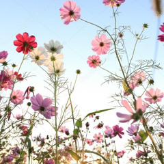 Amaro porano jaha chai (39sec)