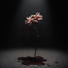 The Internet Killed The Artist