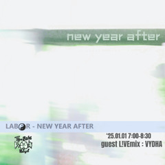 Labor-New Year After - guest L!VEmix : VYDHA
