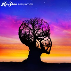 Imagination