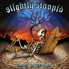 This Is Slightly Stoopid