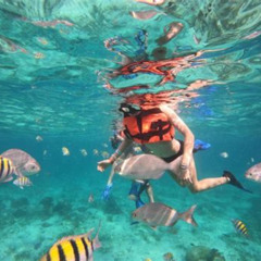 Best Cancun Snorkeling Tours Isla Mujeres Prices Reviews
