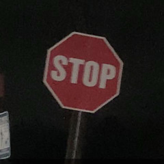 House Party Proletariat