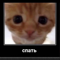 поспать (спайс)