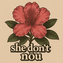 she don’t nôu v17