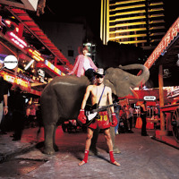 Cowboy Bebop Tank The Best By Seatbelts Cowboy Bebop Tank The Best By Seatbelts
