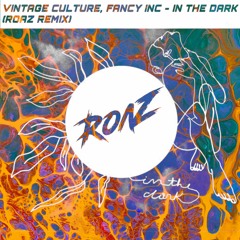 Vintage Culture, Fancy Inc - In The Dark (Roaz Remix) FREE DOWNLOAD