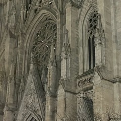 elegant [prod.noevdv]