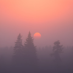 Sunrise