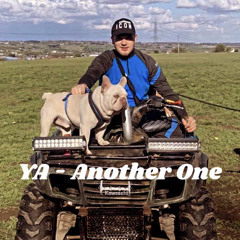 YA - ANOTHER ONE