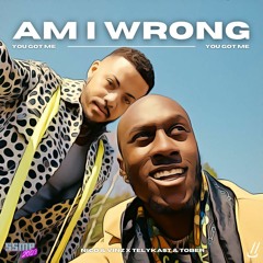 Nico & Vinz x Telykast & Tober - Am I Wrong (Wellkrow "You Got Me" Edit)