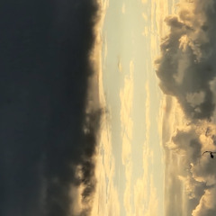 igjjj_b1